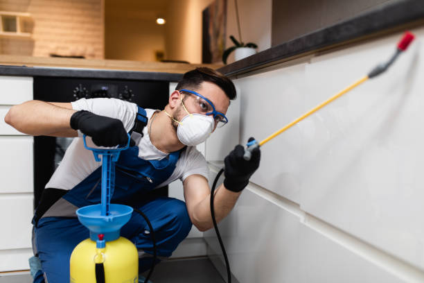 Best Pest Removal Services  in Pelham, AL