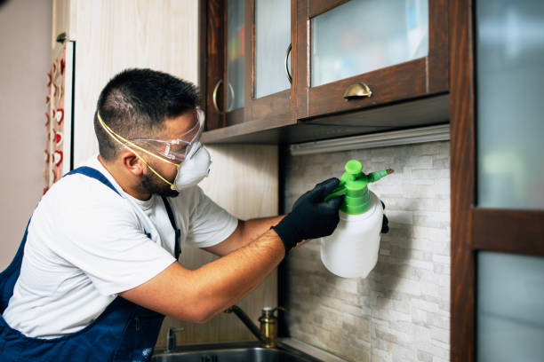 Best Local Pest Control Services  in Pelham, AL