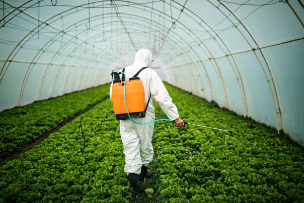 Best Residential Pest Control  in Pelham, AL