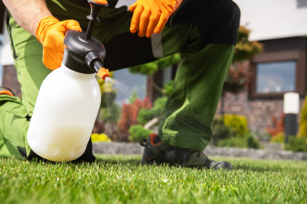 Best Pest Prevention Services  in Pelham, AL