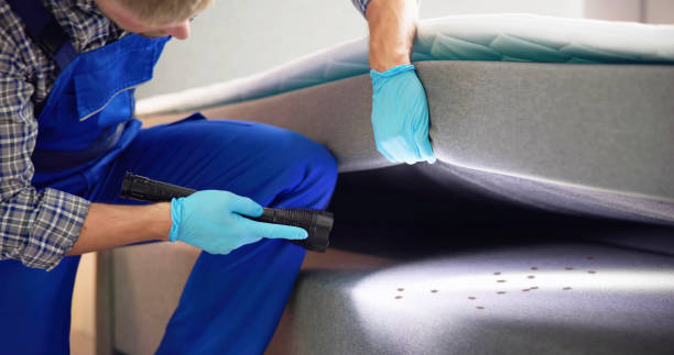 Best Mosquito Control Services  in Pelham, AL
