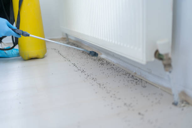 Best Flea Control Services  in Pelham, AL