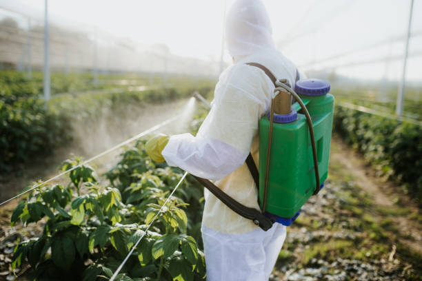 Reliable Pelham, AL Pest Control Solutions